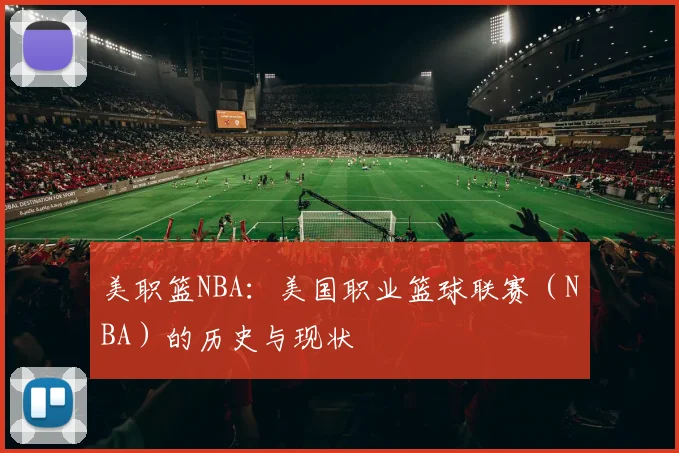 美职篮NBA：美国职业篮球联赛（NBA）的历史与现状
