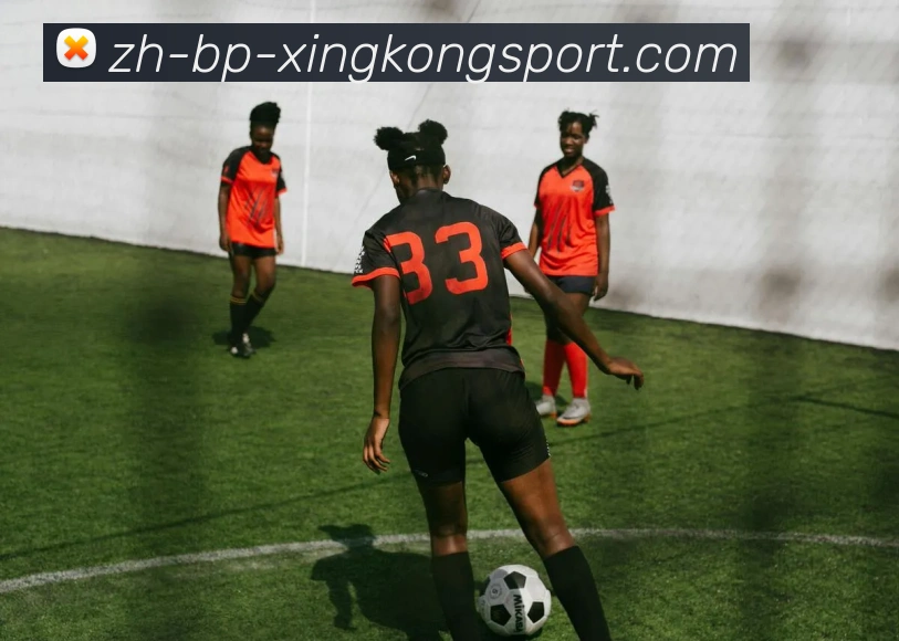 星空体育服务体系